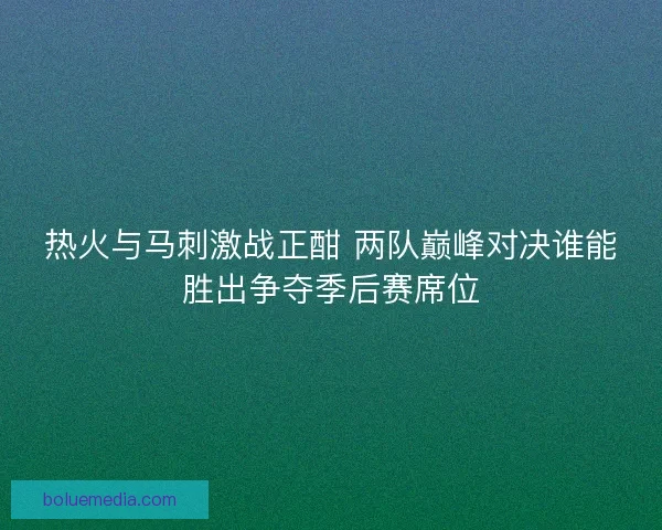 热火与马刺激战正酣 两队巅峰对决谁能胜出争夺季后赛席位