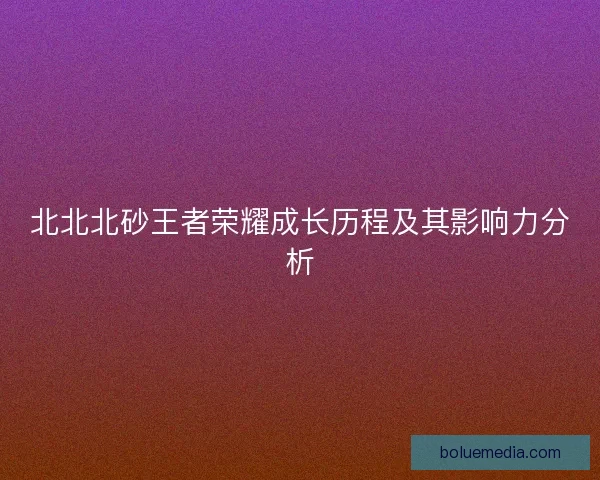 北北北砂王者荣耀成长历程及其影响力分析